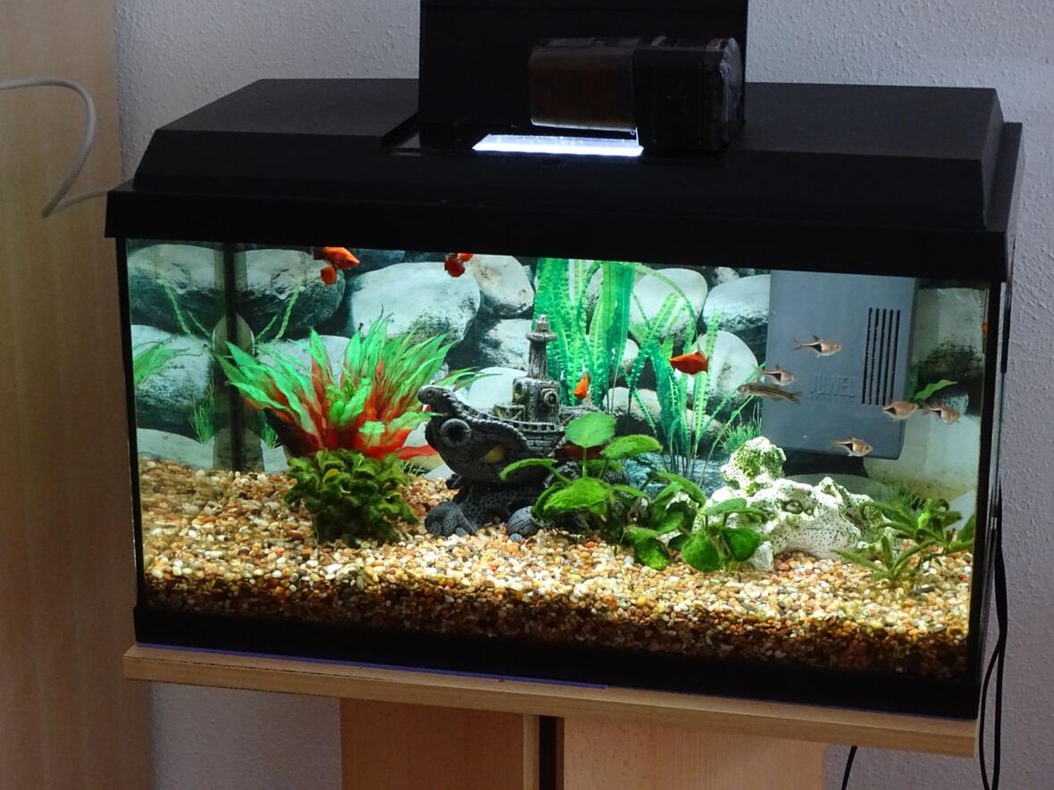 kindergarten-horgau25