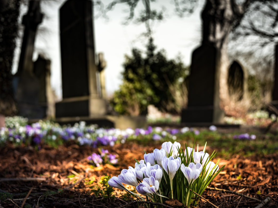 friedhof