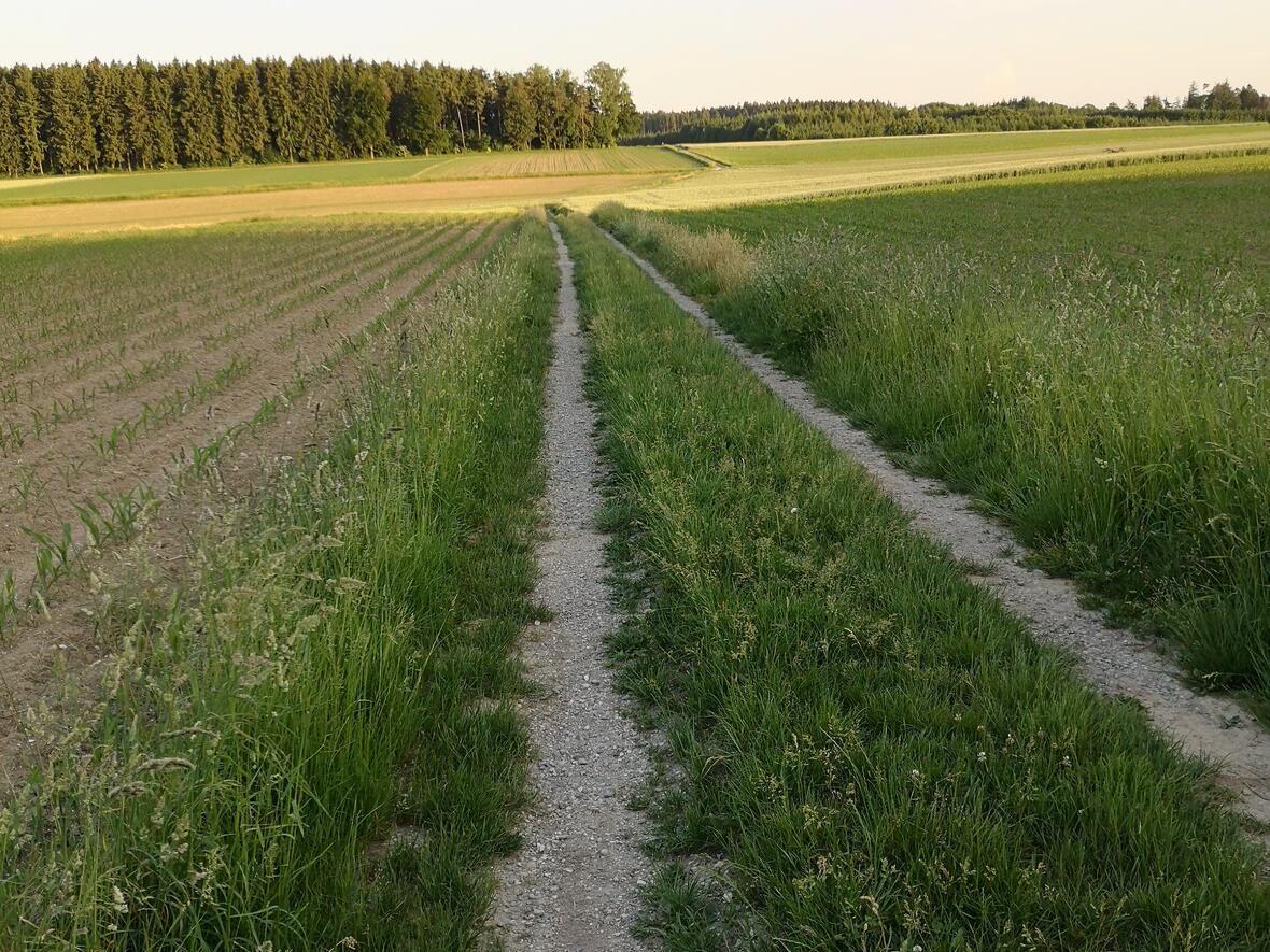 weg